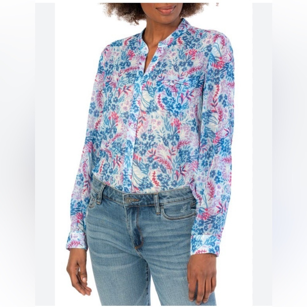 Kut from the kloth blouse